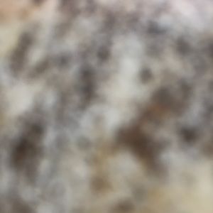 Meet your Posher, Edel